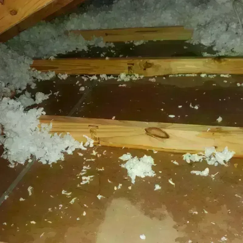 Attic Water Damage in East Canton, OH