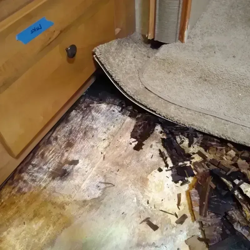 Wood Floor Water Damage in East Canton, OH